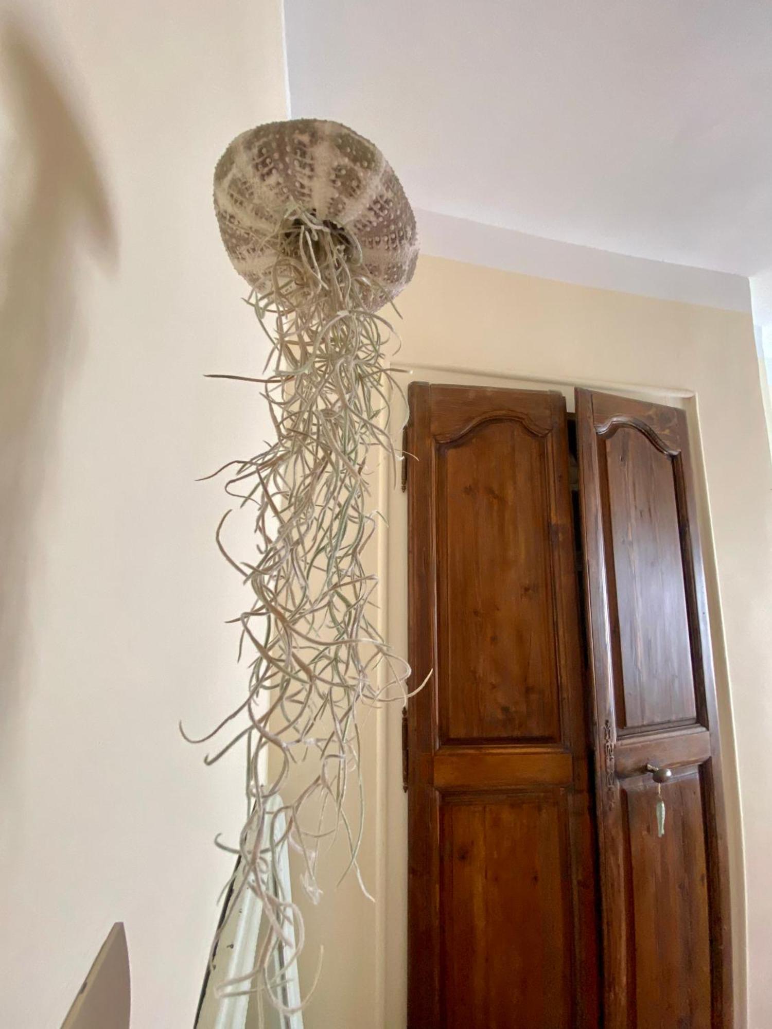 דירות סנרי-סור-מר Casa Paloma מראה חיצוני תמונה